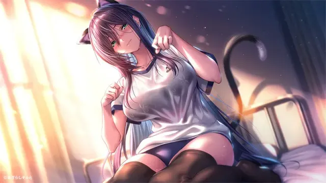 甜蜜女友２＋ 预览图 13