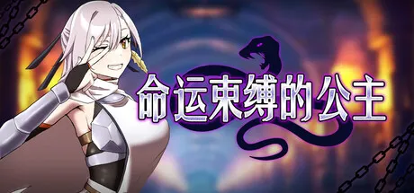 命运束缚的公主 封面