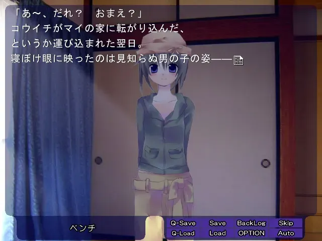 月照 ～Tsuki No Terasu～ 预览图 9