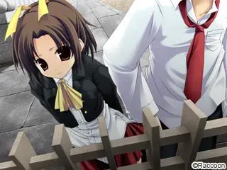 恋路桥 预览图 33