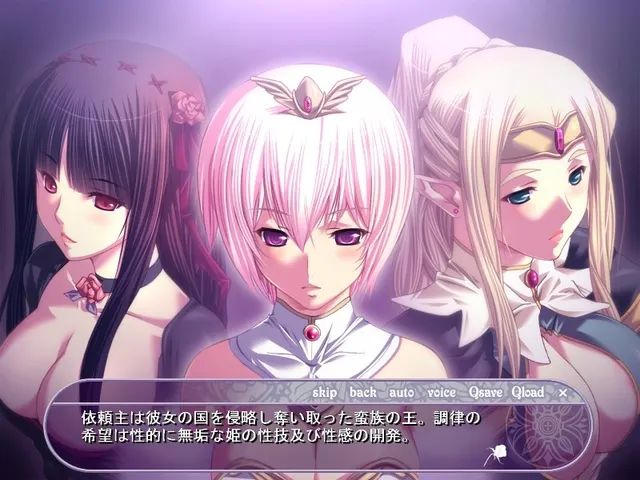 虜ノ姫～淫魔の調律～ 预览图 3