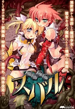 魔法少女昴 封面