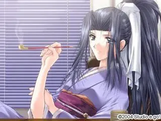 风之继承者 预览图 12
