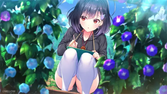 牵牛花不识夜。 预览图 18