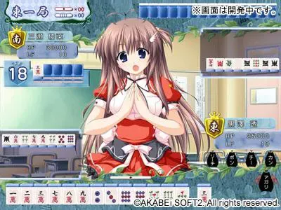 こんぼく麻雀～こんな麻雀があったら僕はロン！～ 预览图 11
