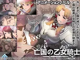 亡国之乙女骑士 封面