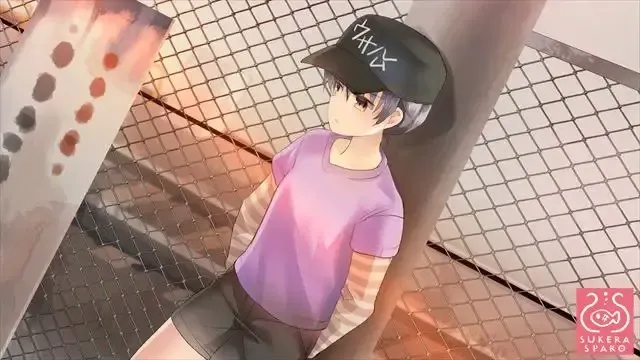 不知何时的memoraĵo 预览图 12