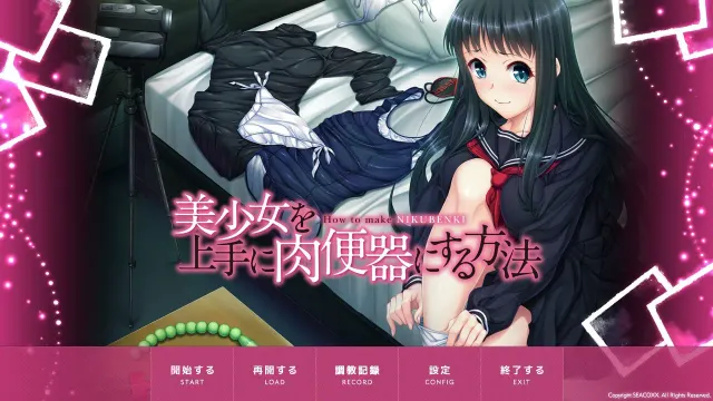 将美少女调教成肉便器的方法 预览图 1