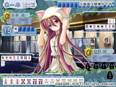 こんぼく麻雀～こんな麻雀があったら僕はロン！～ 预览图 13