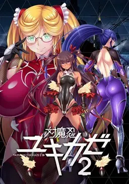 对魔忍雪风2 封面