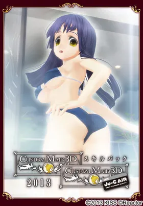 カスタムメイド3D スキルパック2013 封面