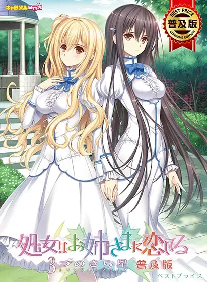 少女爱上姐姐：三颗闪耀之星 封面