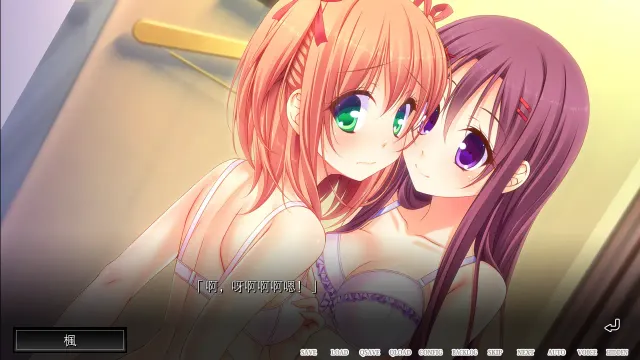 魔法少女的哥哥～拙劣谎言和不良少年～ 预览图 3