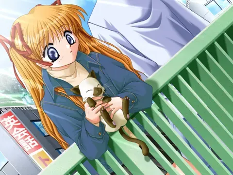 kanon 预览图 16