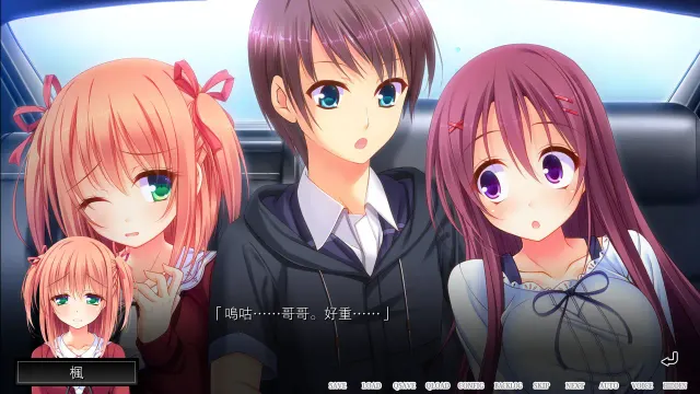 魔法少女的哥哥～拙劣谎言和不良少年～ 预览图 1