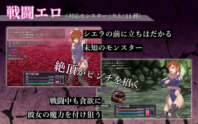 シエラの淫らな異変調査 -女剣士はソロでイク- 预览图 2