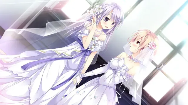 少女缔结的月之光辉 Fullmoon Days 预览图 2