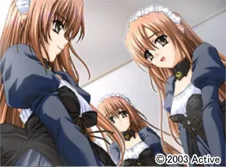Arabica 预览图 13