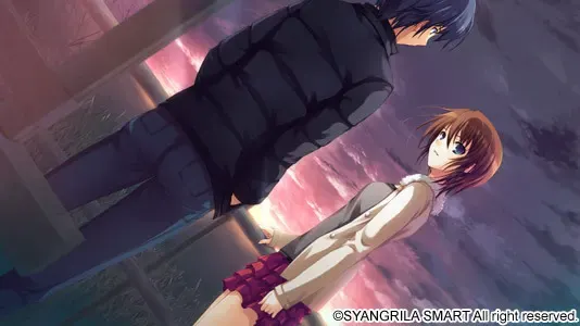 并非恋爱 ―― It’s not love，but so where near. 预览图 17