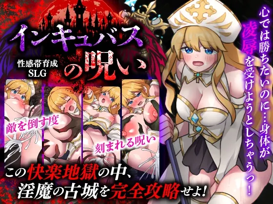 敏感带培育SLG 梦魔的诅咒 封面
