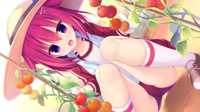 树莓立方体 预览图 28