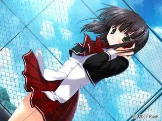 Aster 预览图 17