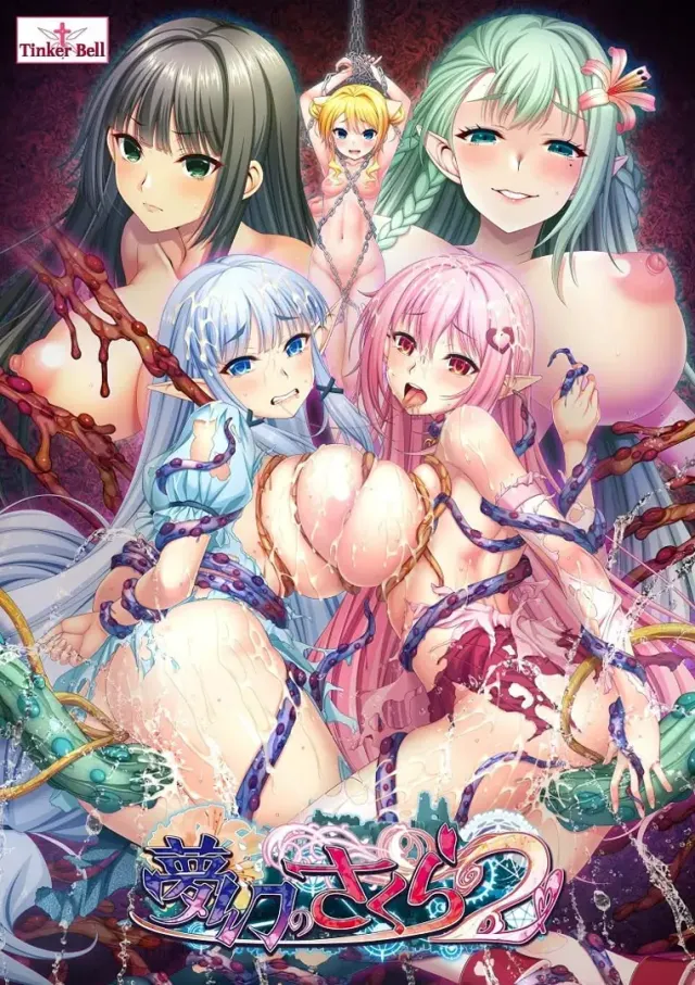 梦幻之樱2 封面