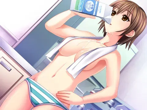姐姐×正太 预览图 4