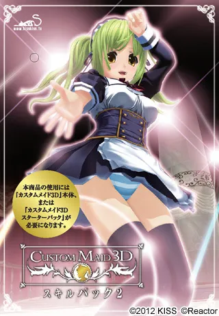 カスタムメイド3D スキルパック2 封面