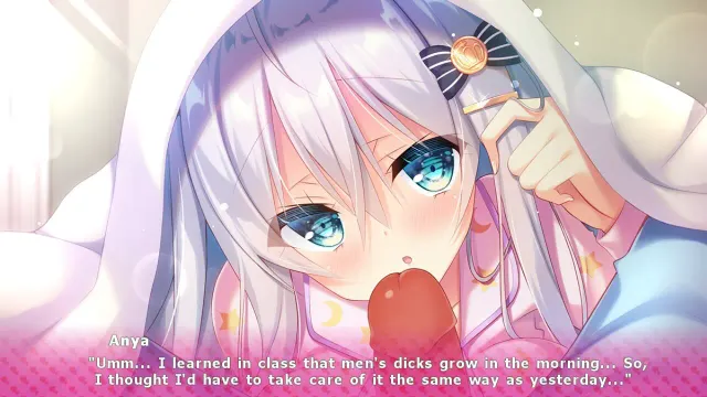 与女朋友的甜蜜生活~你喜欢一心一意的银发美少女吗？ 预览图 5