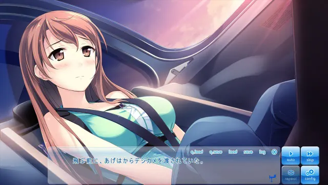 在这苍穹展翅 预览图 1