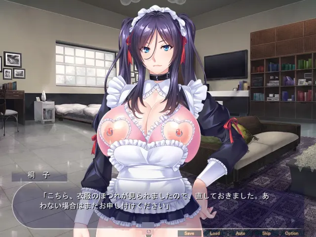 女仆調教日誌 预览图 3