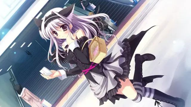 纯白交响曲 预览图 20