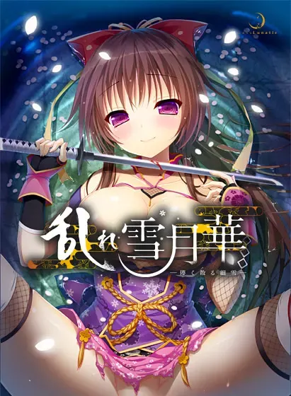乱雪月华～虚幻飘散的细雪～ 封面