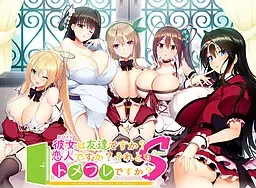 彼女は友達ですか？恋人ですか？それともトメフレですか？ Second 封面