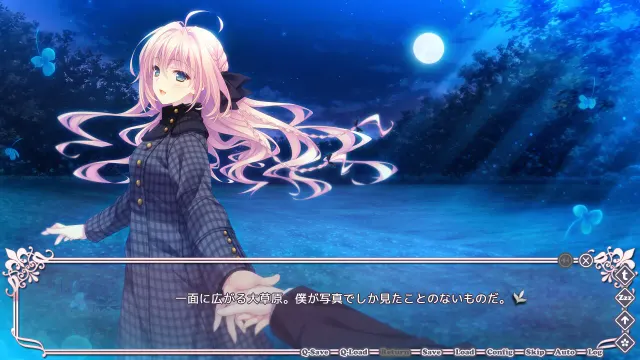 近月少女的礼仪2.1 E×S×PAR!! 预览图 7