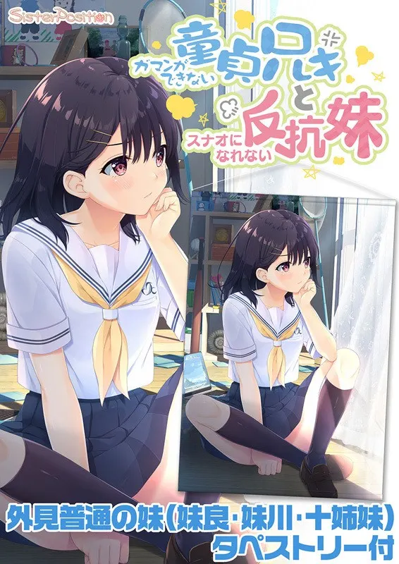 ガマンができない童貞兄キと、スナオになれない反抗妹 APPEND.04 本日はスローびより 封面