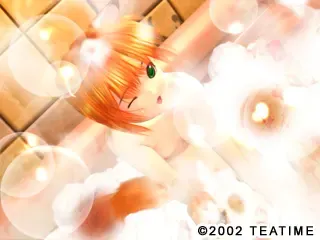 めいでん☆ブリーダー 预览图 7