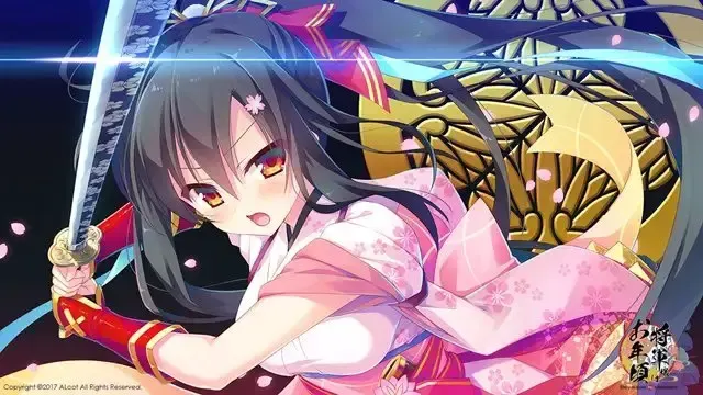 将军大人芳华正茂 预览图 15