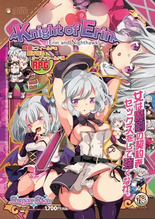 女骑士艾琳 封面