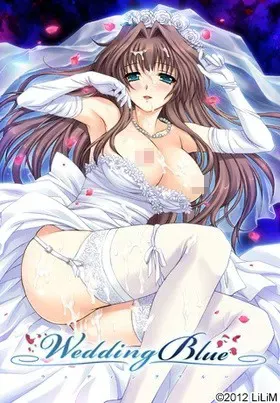 婚礼蓝色 封面