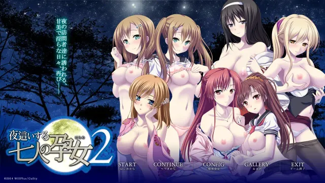 夜袭的七位孕女2 预览图 1