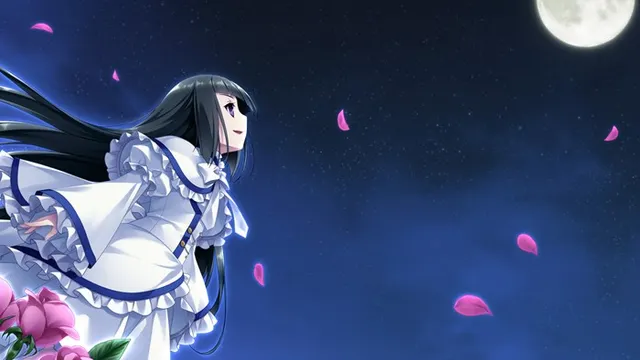 淑女同萌！-New Division- 预览图 14