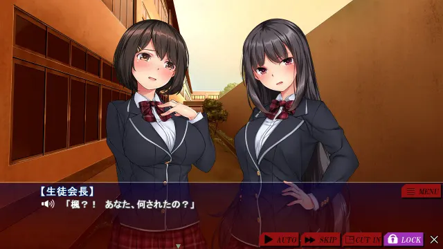 胁迫优等生姐妹 ～不良集团集体播种堕落～ 预览图 2