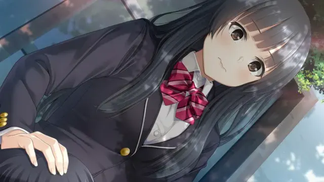 フルキスS 预览图 8