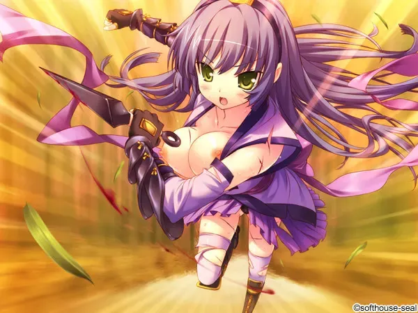 華麗に悩殺♪ くのいちがイク！～桃色ハレンチ忍法帳～ 预览图 4