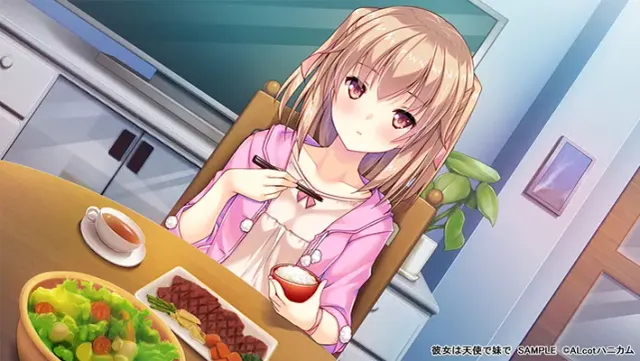 伊人天使妹侧畔 预览图 17