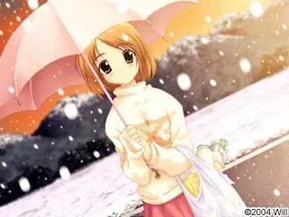 雪之華 预览图 20