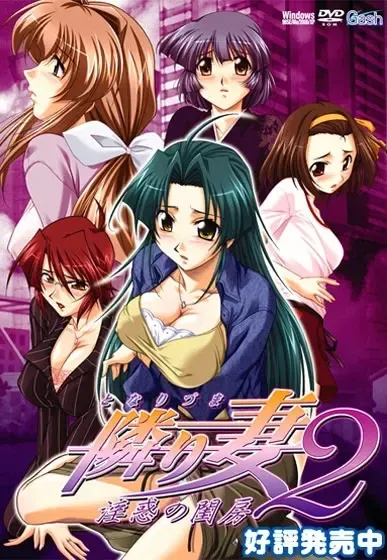 邻家妻子2 ～淫惑的闺房～ 封面