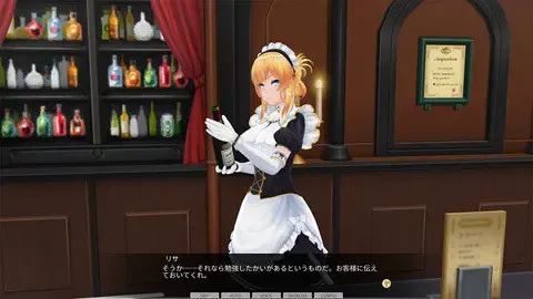 3D定制女仆2 预览图 23